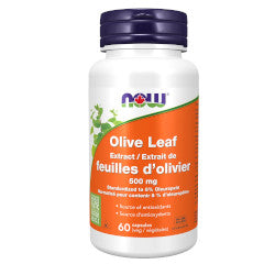 Buy Now Olive Leaf Online in Canada at Erbamin.